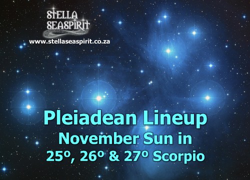 Pleiadian Lineup for Magical Starseed | www.stellaseaspirit.co.za